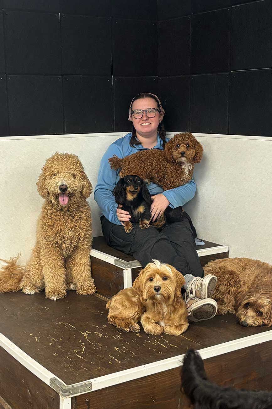 Olivia sitting in a pile of dogs ar Wag Watch the doggie daycare