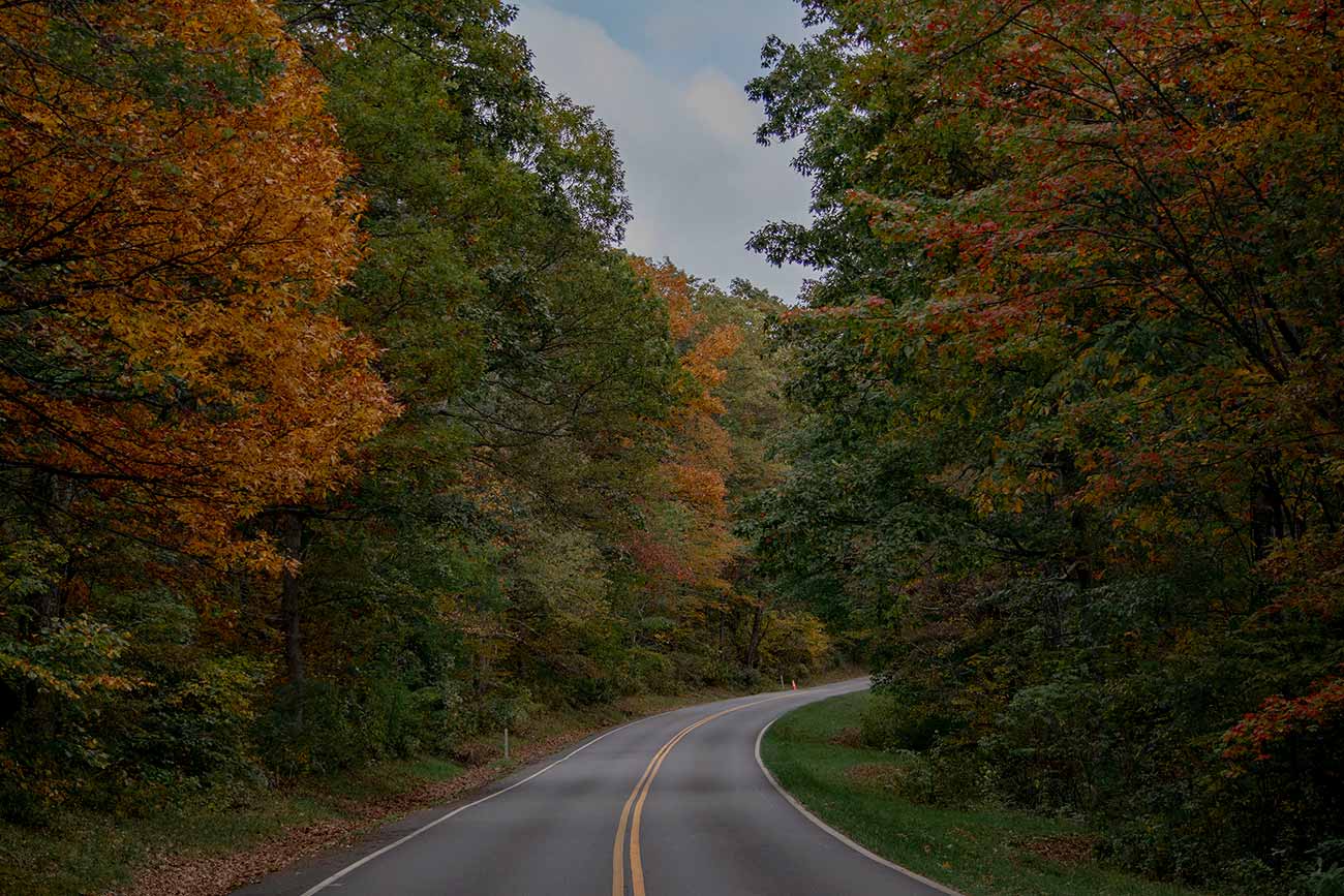 Road through Shenandoah National Park with fall foliage
